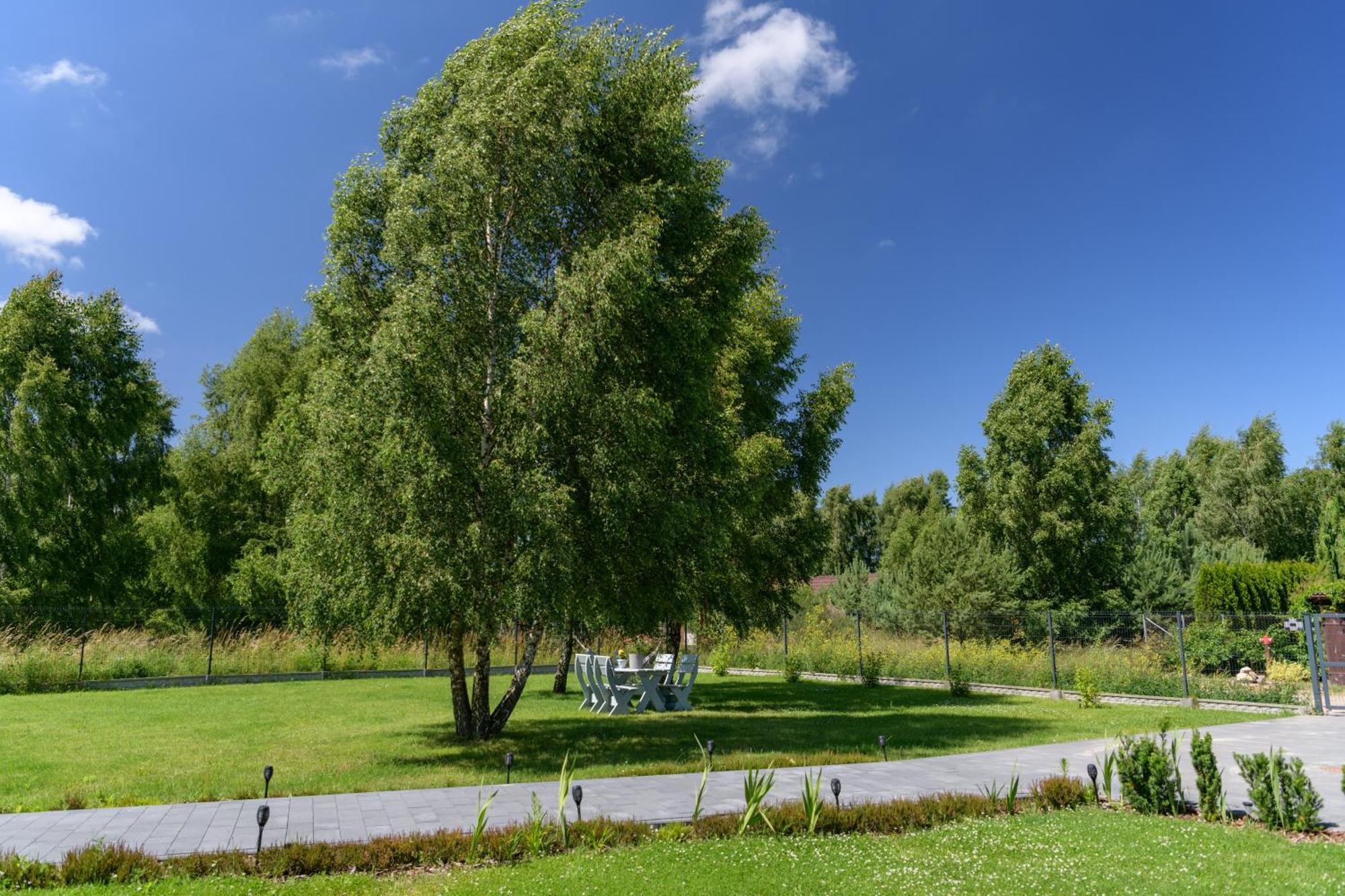 Przejrzysty Villa ซาชิโน ภายนอก รูปภาพ